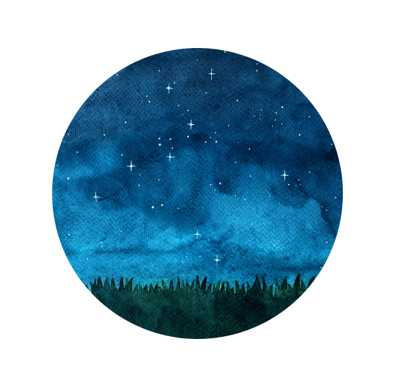 Starry night sky with landscape